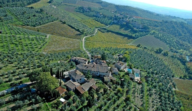 Dream vacation in the Chianti vineyards