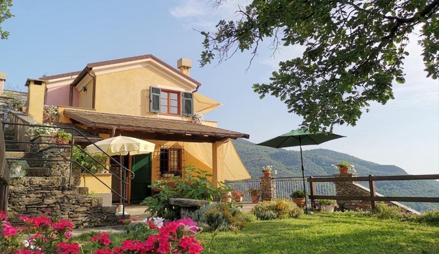 Elsa House