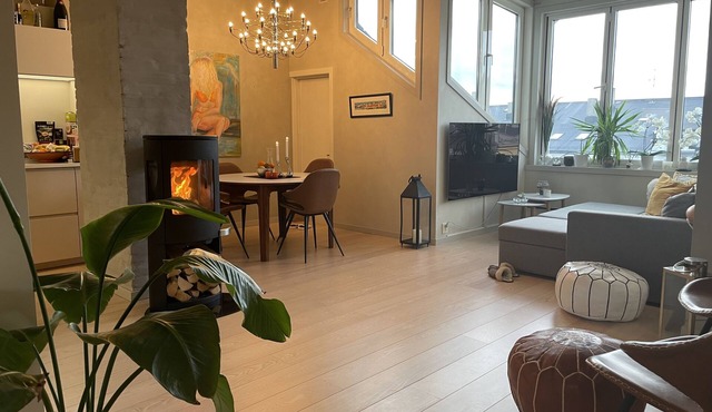 Exclusive & Elegant Frogner Apartment in the Heart of Oslo