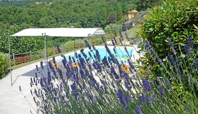 Exclusive mansion,private pool, Tuscan country b/w Florence&Pisa