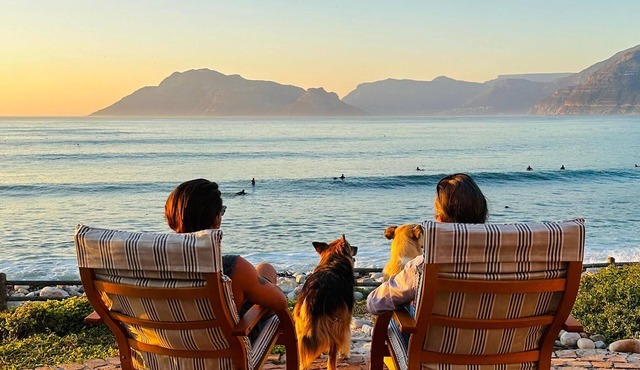 Family & pet friendly home on the beach in Kommetjie