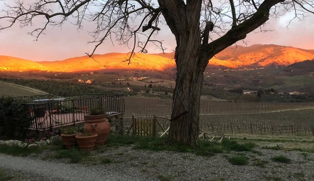 FARM IL POGGIOLINO
