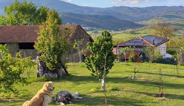 FARM WITH ENCLOSED GARDEN SURROUNDED BY THE WOODS FOR WALKING VIEWS