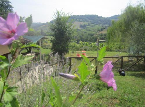 Fattoria Bertaccini