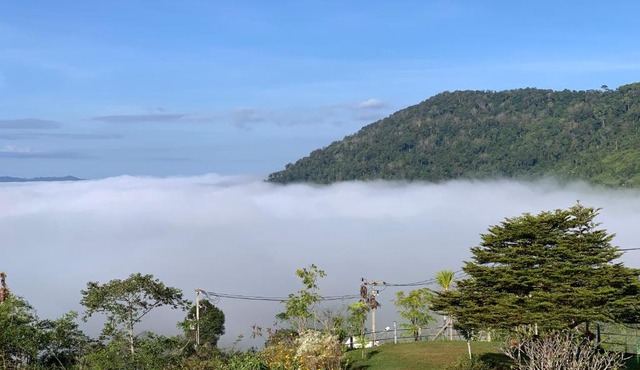 Feel The Fog