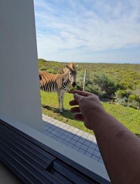 Fynbos N Sea