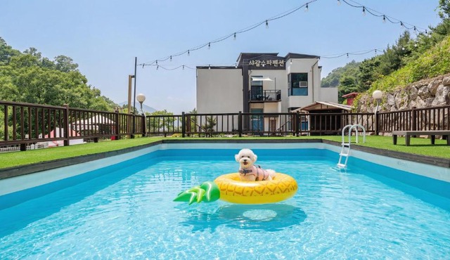 Gapyeong Chagall Spa pension
