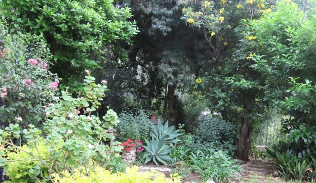 Garden Joy