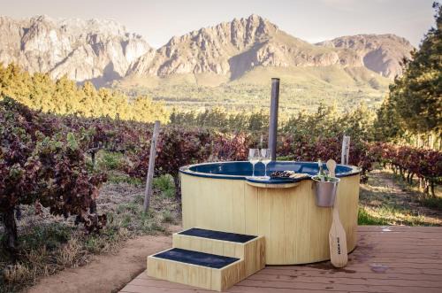 Genadendaal Vineyard Villa