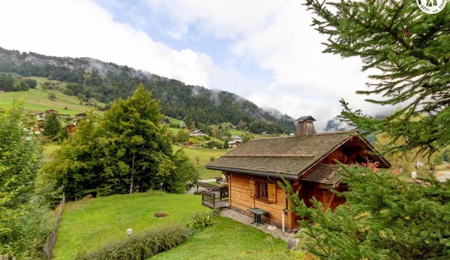 GENTIANE - SAINT NICOLAS LA CHAPELLE