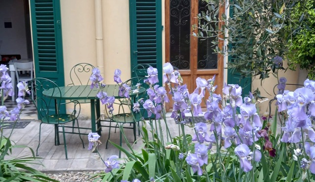 Ginella- The vintage house