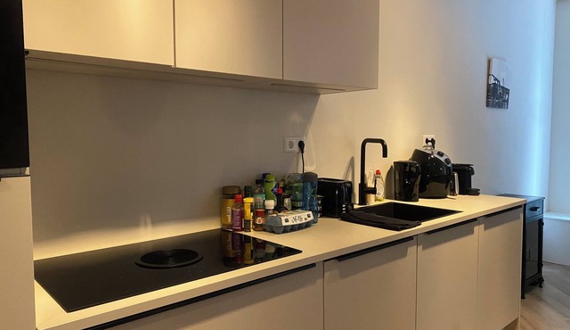 GOG B - Cozy Lofts Haarlem