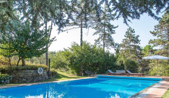 GuestHouse with garden and pool near Faenza, Romagna