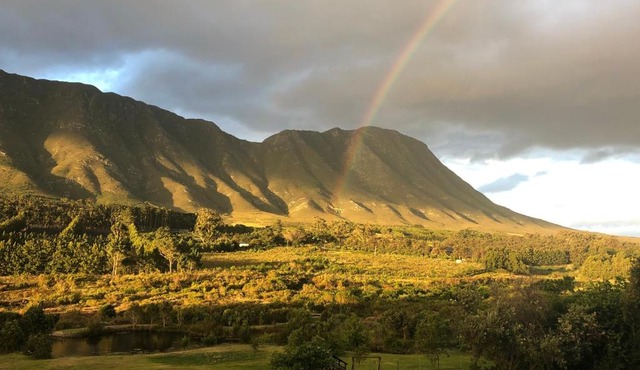 Hemel en Aarde cottages