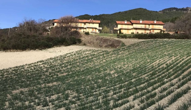 Holiday apartment "with panorama"