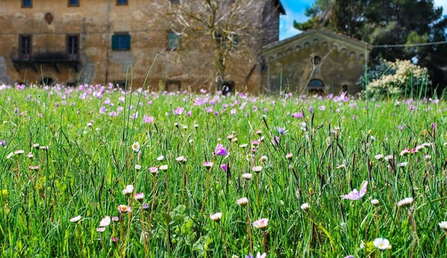 Holiday Home in Volterra With Pool and Terrace