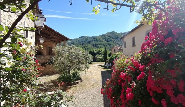 Holiday home, San Godenzo