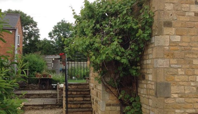 Hops and the Vines