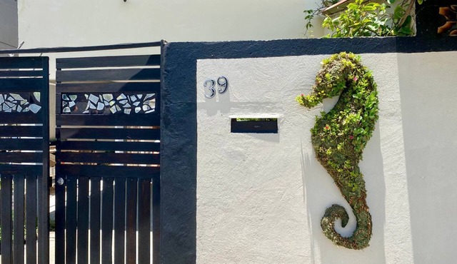 House 200m from Foguete Beach | Pet Friendly, simple and welcoming space