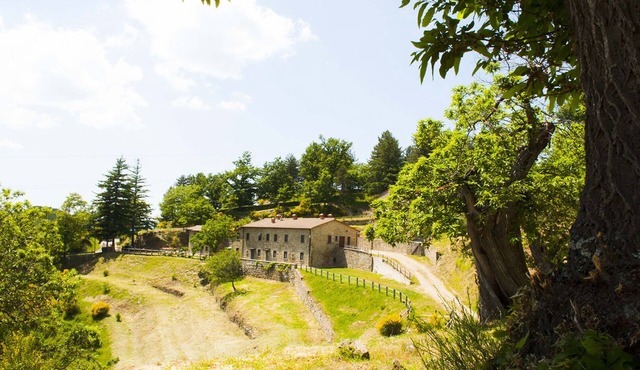 HOUSE IN THE GREEN JUNIPER IN THE CASENTINO FORESTS PARK