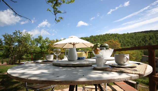 Hut with a view in the heart of the Chianti area with swimming pool and Jacuzzzi