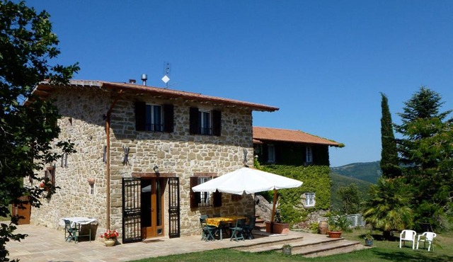 Il canto dell'asino