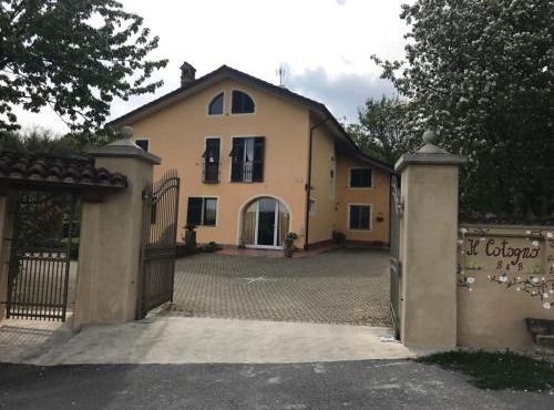 Il cotogno