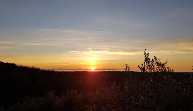 Il Panorama