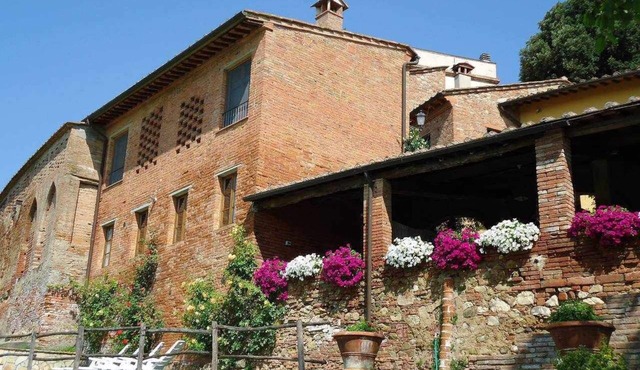 Il Signorino