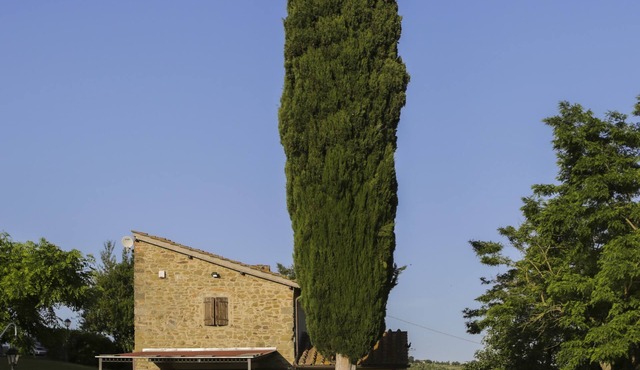 Il Vignolino Bed and Breakfast