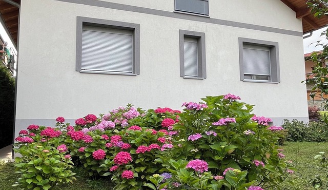 Independent suite in villa for two - three people