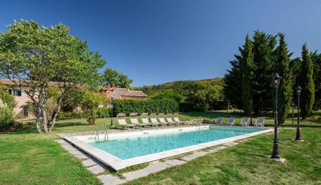 Orchidea