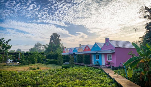 Jasmine Resort