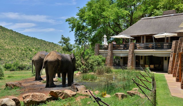 Kwa Maritane Bush Lodge