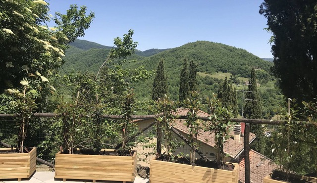 L'Antica Dimora di Laura