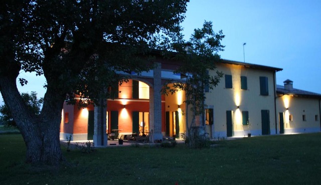 La casa dei gatti