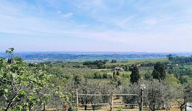 La Casina di Colle - Appartamento Rustico Sulle Colline di Pisa