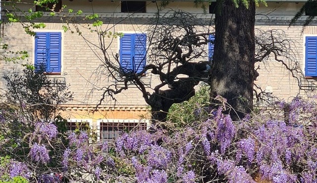 La Maison Deux, an old farmhouse from the late 18th century, with Provençal features.