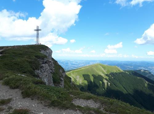 La Tana dei Tassi