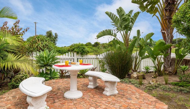Lagoon - Cottage