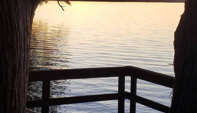 Lake House Scales and Ducktails Rentals