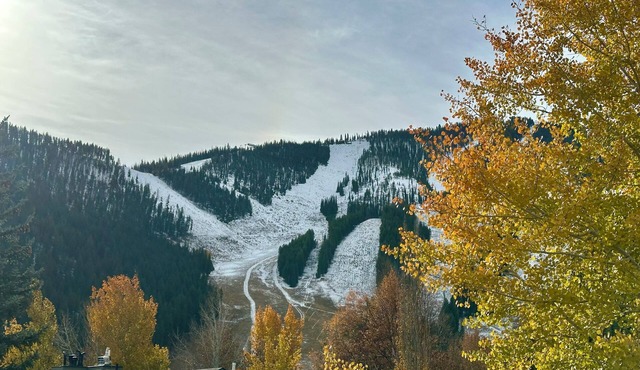 Large Warm Springs Oasis, 5 BR/5 BA. 10 Beds! Sauna and Hot Tub