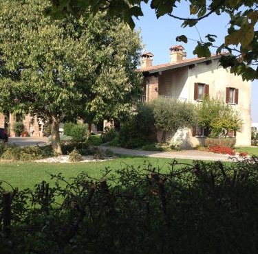 Le Rondini