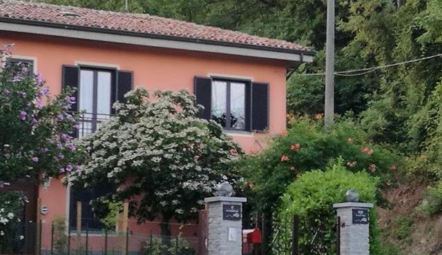 Le rose di Mapi