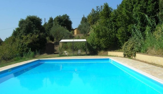 Little cottage in the wood with pool