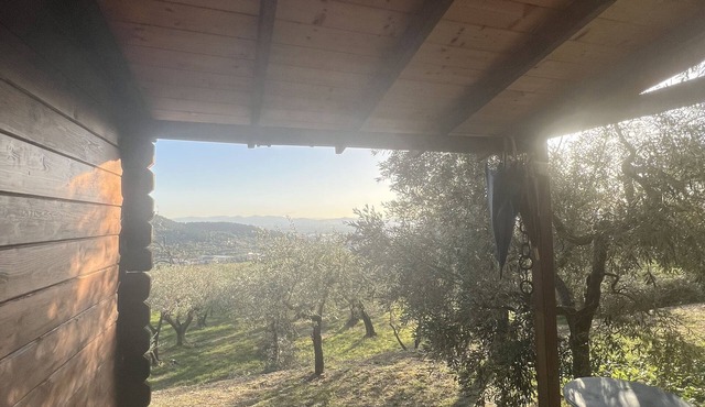 Lodge in the olive grove