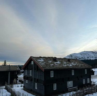 Loft Apartment With Ski Access In Trysil