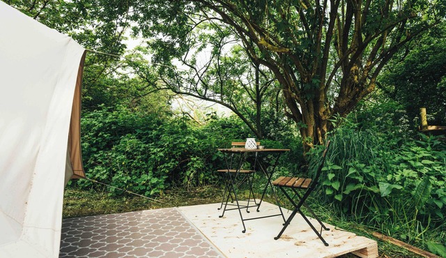 Luxe Glamping Tent in West-friesland
