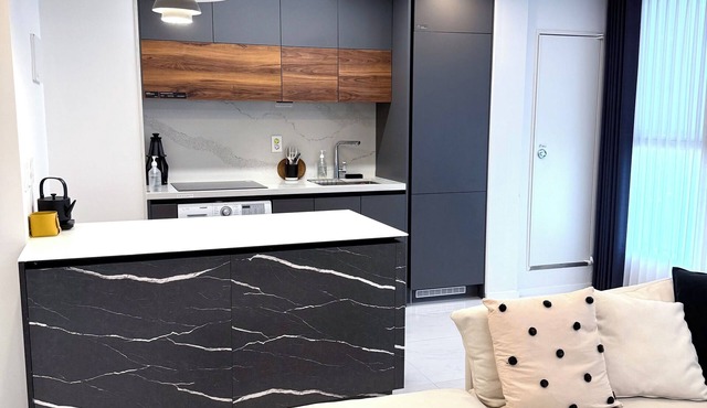 Luxury 1-bedroom apartment with WiFi, Netflix, Washer, etc in Central Seoul