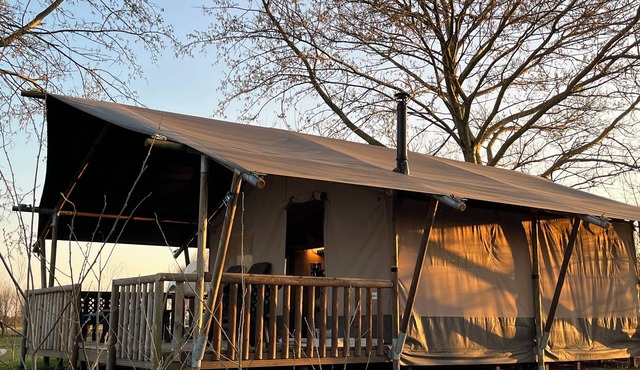 Luxury 4-person safari tent on Landgoed de Leijen